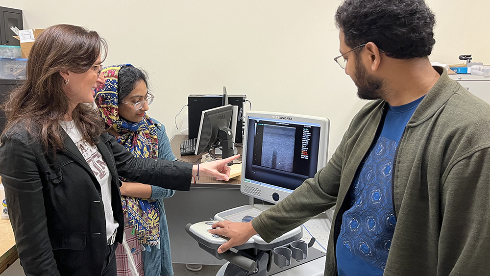 Dr. Raffaella Righetti points at a computer screen showing an image of a CT scan while two graduate students observe.